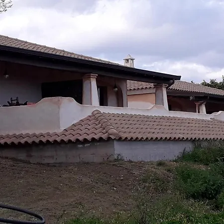 Via Delle Mimose *