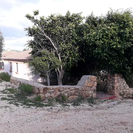 Via Delle Mimose *